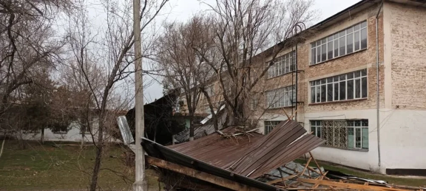 В Бишкеке сильный ветер сорвал крыши и повалил деревья