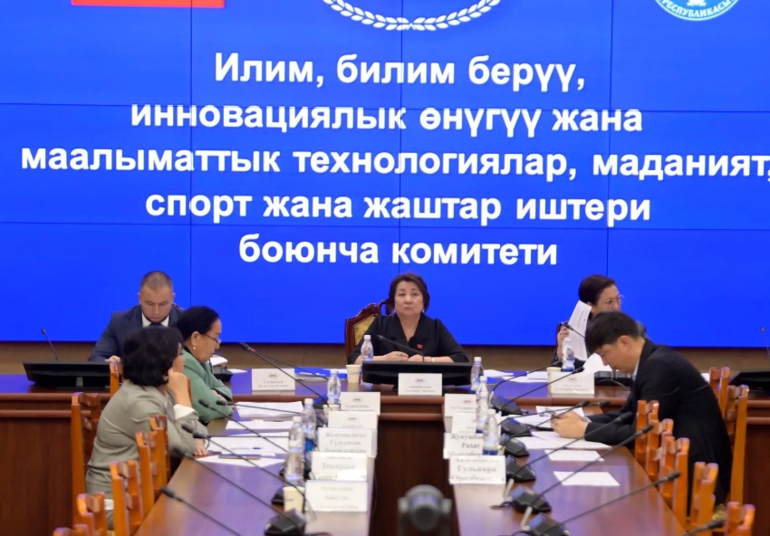 Комитет ЖК рассмотрел изменения в закон при получении общегражданских паспортов для несовершеннолетних