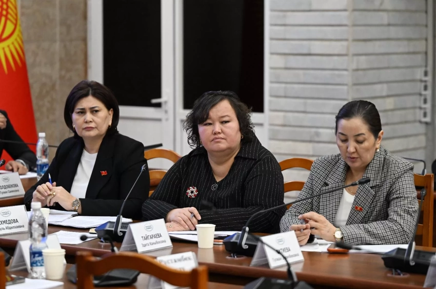 Комитет Жогорку Кенеша заслушал информацию об эпидемиологической ситуации по гепатитам в республике