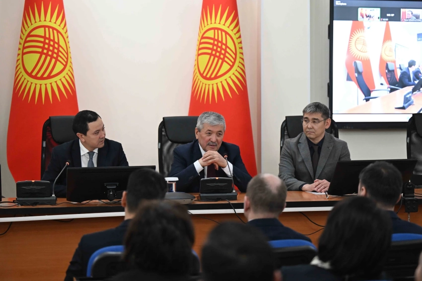 Дамирбека Осмонова представили центральному аппарату Минздрава