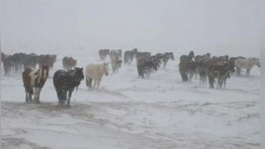 Предупреждения о неблагоприятных погодных условиях