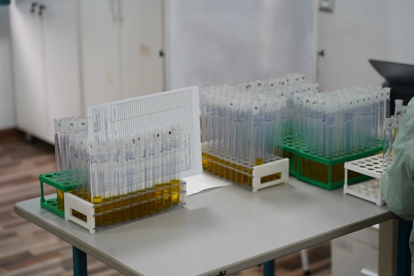 Чистая прибыль ГП «Центральная лаборатория» составила более 133 млн сомов за 2025 год