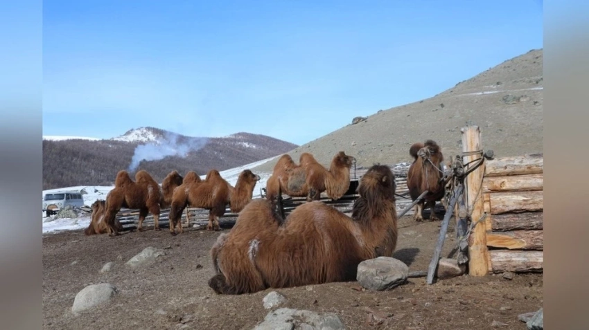 Прогноз погоды по Монголии на март