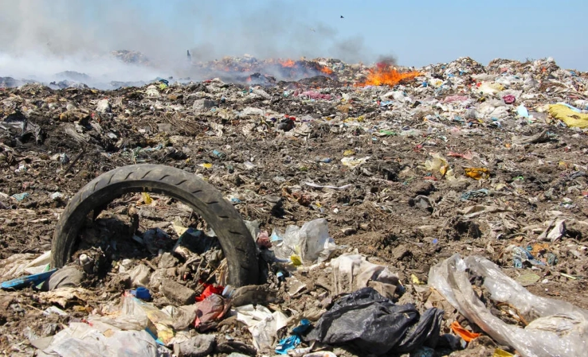 Более 10 тыс. нарушений природоохранного законодательства выявлено в 2025 году в Кыргызстане