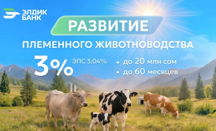 Поддержка племенного животноводства под 3% от «Элдик Банка»