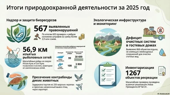 Минприроды выявило сотни нарушений: черепахи, сети и штрафы на миллионы