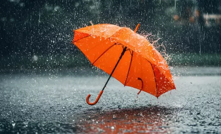 Одевайтесь теплее и берите зонты: прогноз погоды на 3 марта