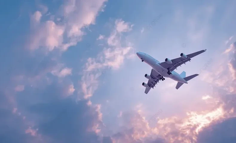 В Кыргызстан в ночь с 4 на 5 марта вернутся 360 кыргызстанцев, уточнили в МИД