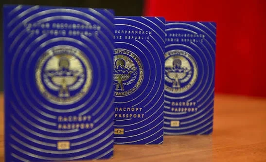 ЖК принял законопроект об упрощении выдачи паспортов для детей до 16 лет в I чтении