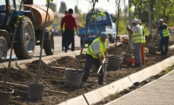 В Кыргызстане в 2026 году планируют высадить 9 млн саженцев