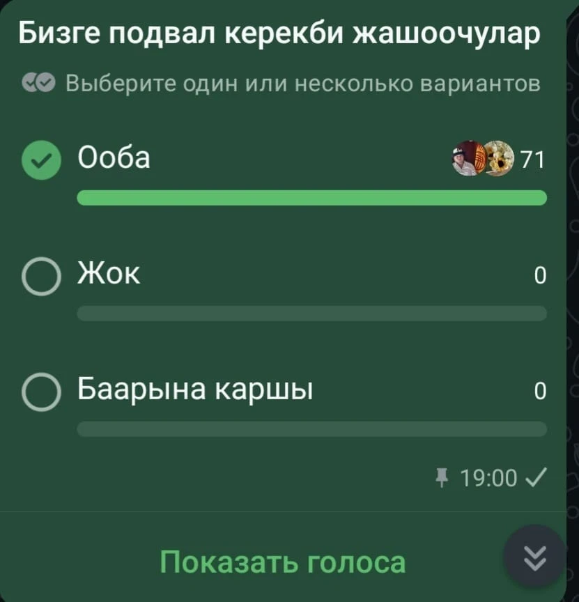 Жители госипотечных домов в Бишкеке просят сохранить подвал за собственниками