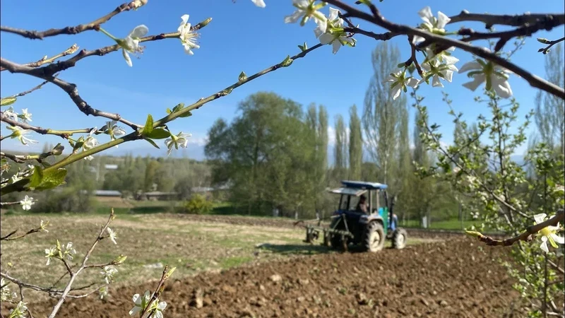 Философия Нооруза. Когда пришло время прощать, меняться и идти вперед
