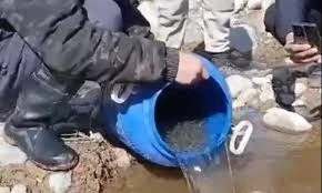 Реки Суусамыра пополнились пятью тысячами мальков иссык-кульской форели