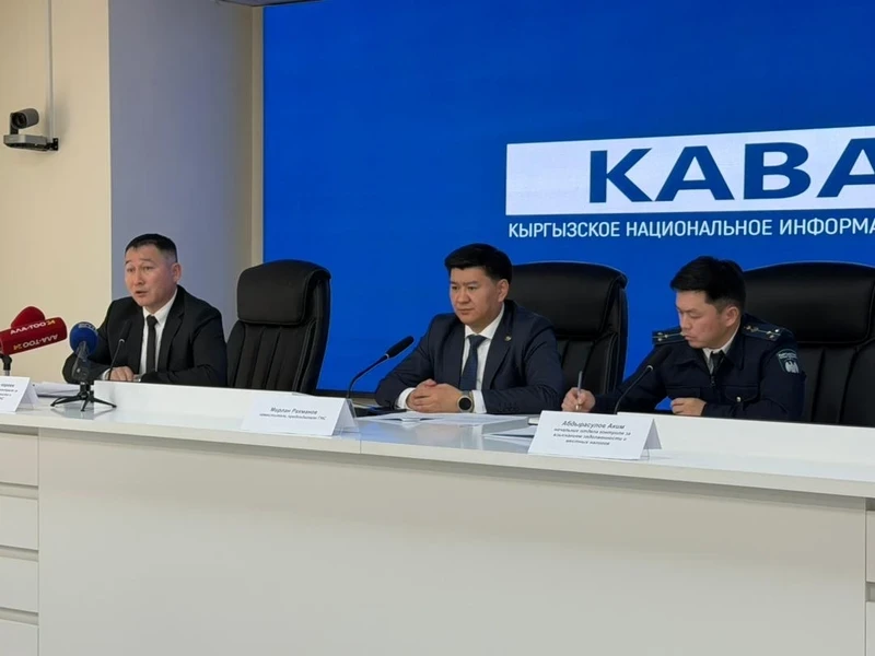 НПТ поможет гражданам избежать двойных штрафов - ГНС