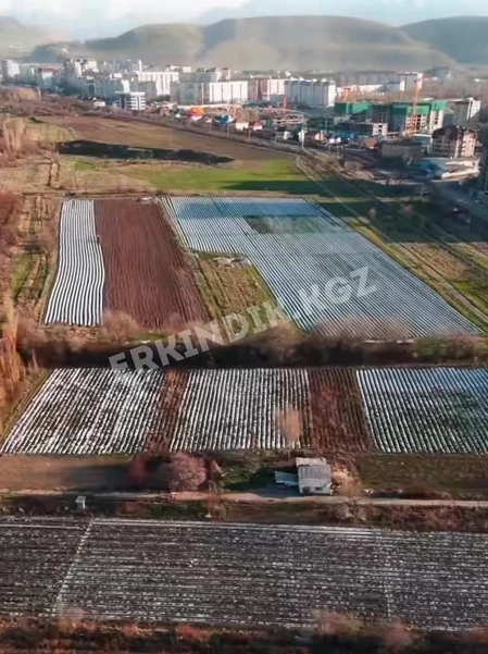 Футбольные поля и клубничные грядки в Ботсаде: граждане просят вмешаться президента КР