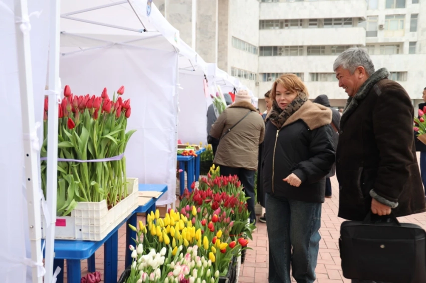 В Бишкеке стартовал фестиваль отечественных тюльпанов