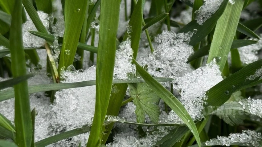 В ближайшие дни в Казахстане снова ожидаются осадки