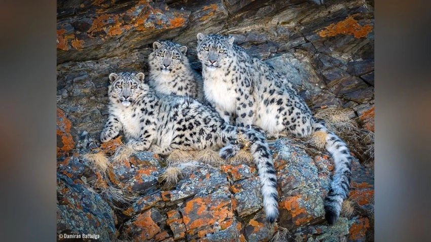 Теплая погода ожидается в большинстве районов Монголии с 6 марта