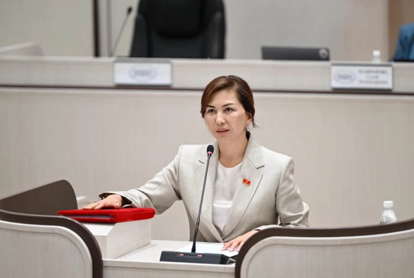 В парламенте подняли вопрос о трудностях отечественных экспортёров на границе с Казахстаном