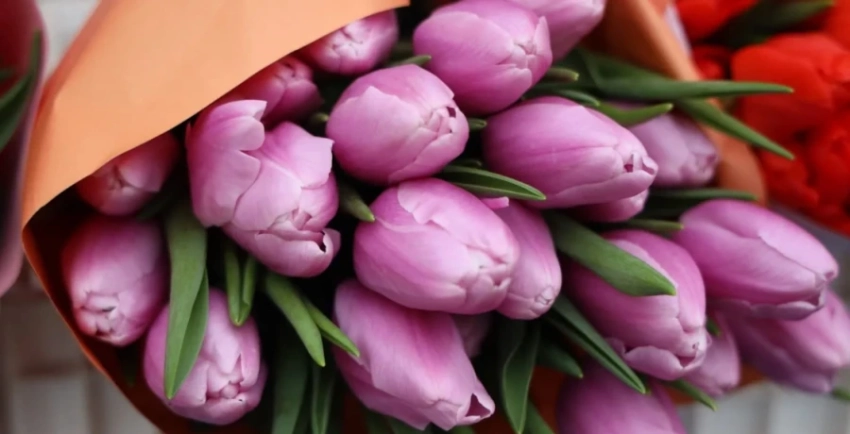 В Узбекистане вырос спрос на цветы из Кыргызстана