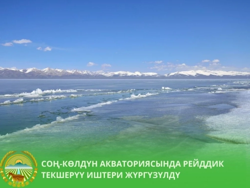 На озере Сон-Куль прошел трехдневный рейд против браконьеров