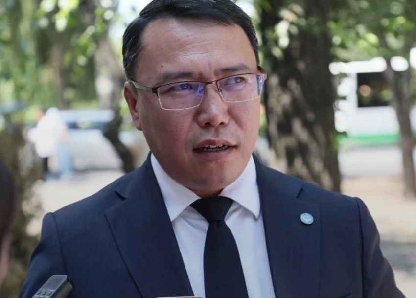 Пресс-секретарь президента опубликовал детали обращения матери Ажиева