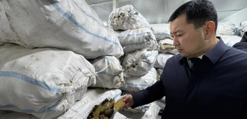 Кыргызские абрикосы и морковь на турецких рынках: в Араванском районе открыли логистический центр за 21 млн сомов