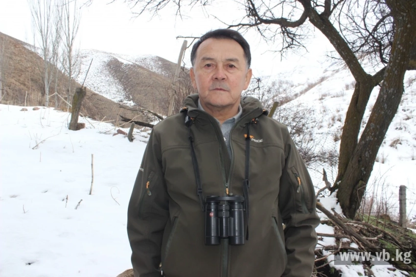 Аскар Давлетбаков: Нехватка хищников ведет к болезням у животных