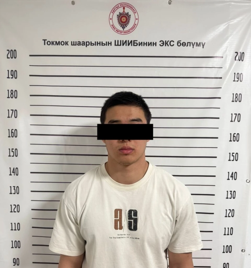 В Чуйской области задержаны подозреваемые в совершении хулиганства