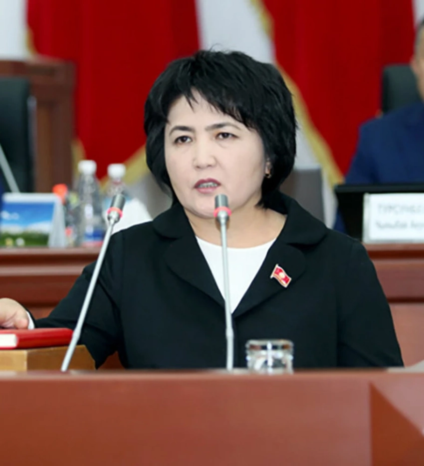 Экс-депутат ЖК вошла в совет директоров Госбанка развития