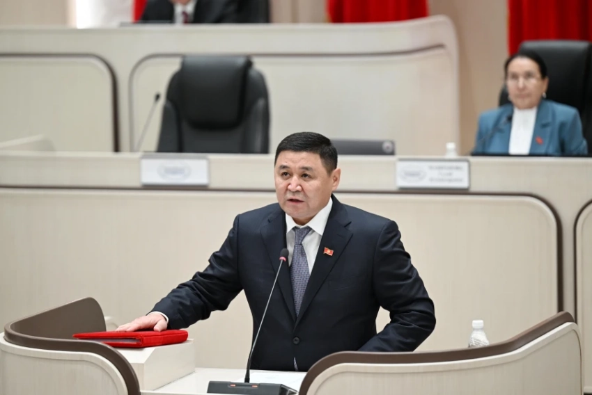 Защита граждан КР за границей: депутат предложил адвокатов за счёт государства