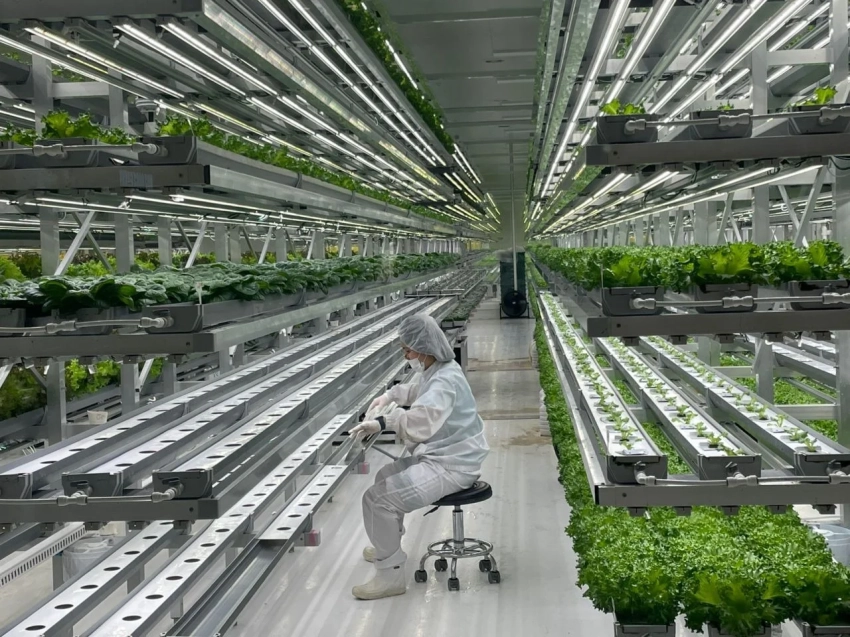 Кыргызская делегация изучила опыт «умных ферм» в Республике Корея