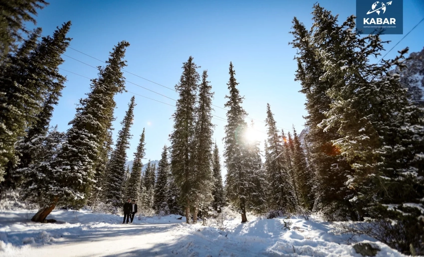 В Бишкеке потеплеет: возможен дождь 18 марта