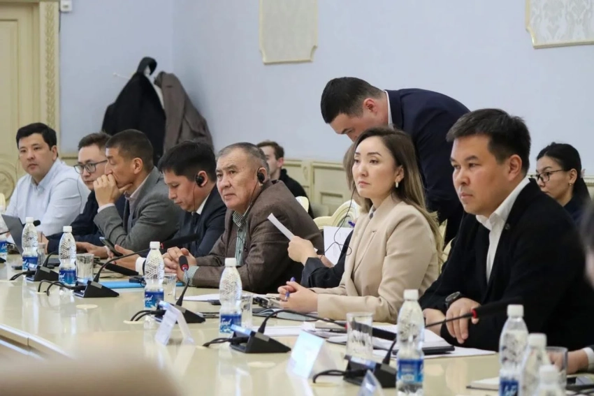 В Бишкеке обсудили внедрение стандартов GMP в фармотрасли Кыргызстана