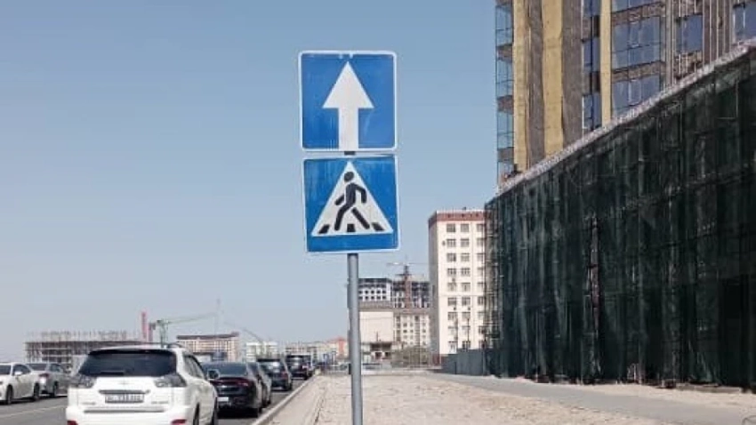 Управделами президента запросили 50 гектаров земли по улице Токомбаева