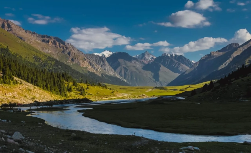 В Минприроды рассказали, как с помощью современных технологий изучают дикий мир