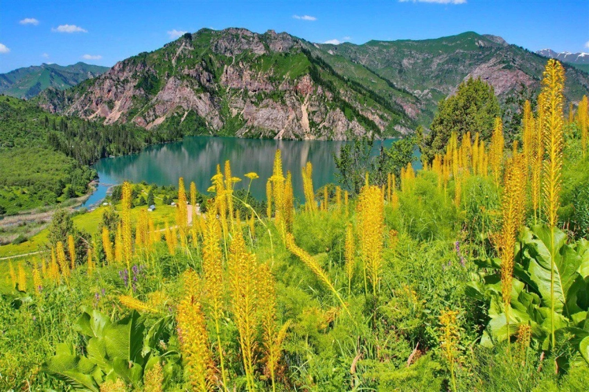 Ущерб заповедникам КР от нарушений в 2025 году составил более 1 млн сомов