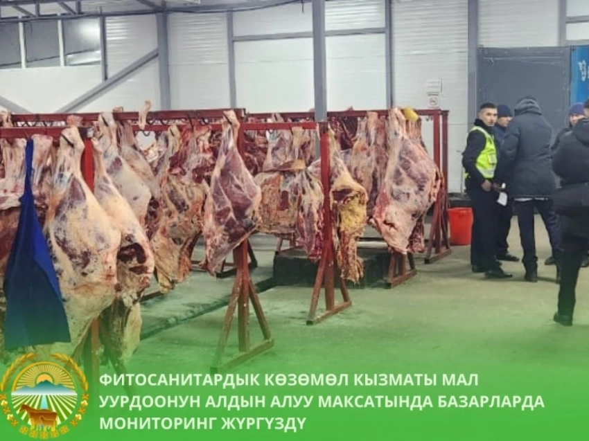 В Бишкеке выявили незаконный ввоз мяса и скота
