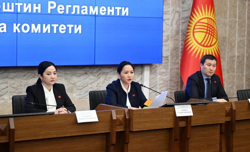 Депутаты поддержали законопроект, уточняющий порядок принятия законов