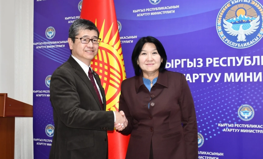 Минпросвещения и JICA обсудили развитие инклюзивного образования для молодежи