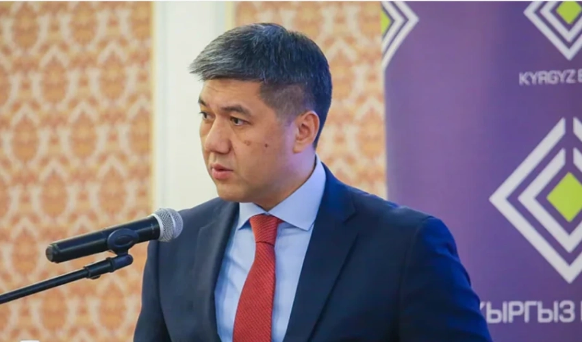 Политолог назвал, с чем может быть связана отставка главы Нацбанка