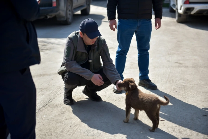 Мэр Бишкека проверил ход ремонта дорог и обустройства скверов