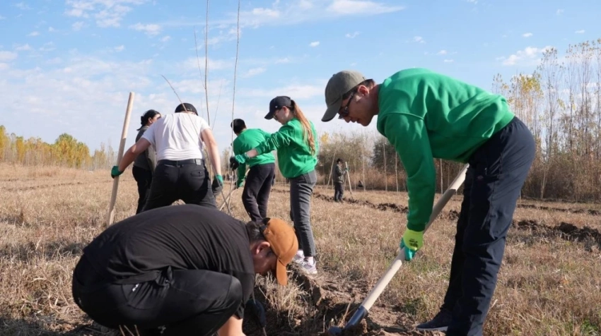 В жилмассивах Бишкека стартует масштабная кампания по высадке деревьев