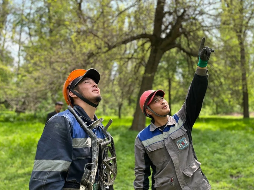 В Бишкеке обновят десятки километров электролиний