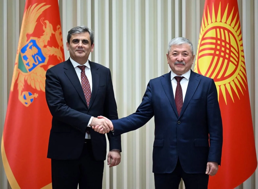 Адылбек Касымалиев встретился с заместителем премьер-министра – главой МИД Черногории