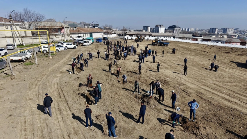 В Оше высадили 1300 саженцев