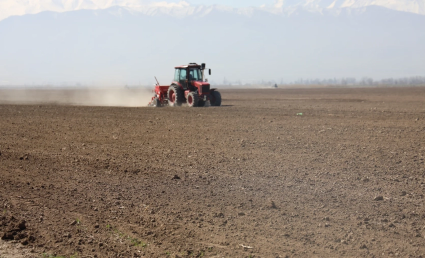 В Кыргызстане вспахано более 196 тысяч гектаров земель